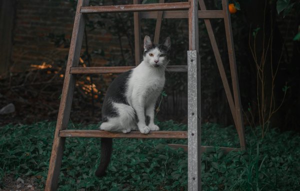 What Are the Opportunities and Challenges of Investing in Outer Space Real Estate?