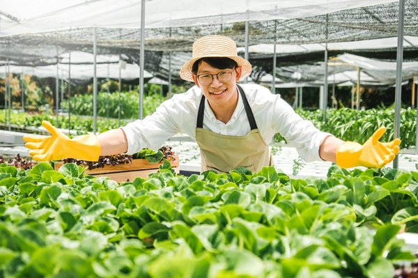 How to implement IoT solutions for real-time energy and maintenance management in commercial real estate?