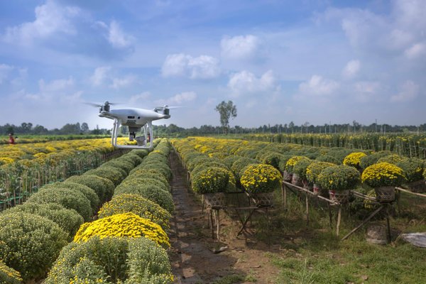 What Is the Role of IoT in Enhancing Agricultural Productivity?